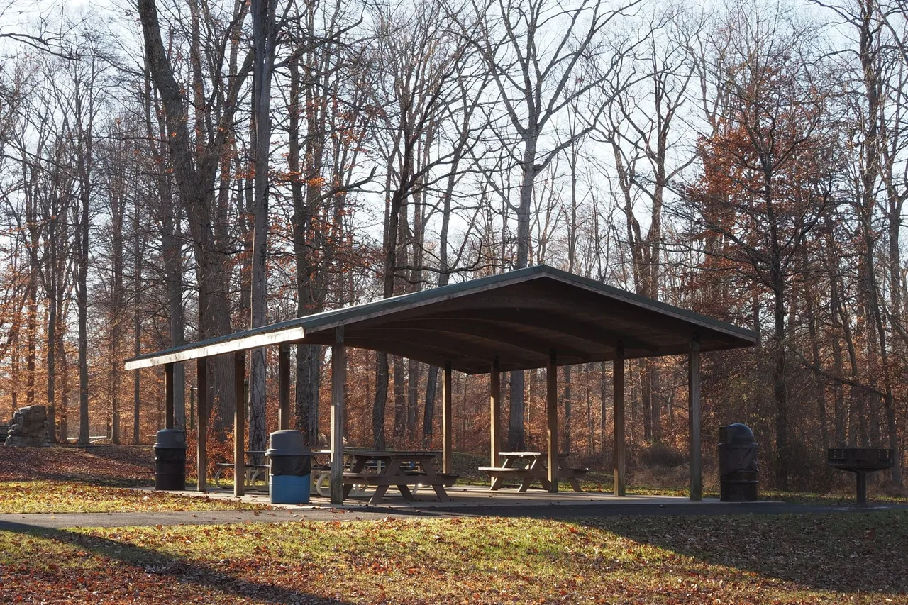 Open-sided picnic pavilion with a metal roof over picnic tables in a wooded park